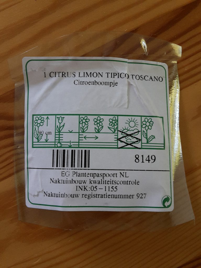 Pflanzenpflege-Etikett mit der Aufschrift Citrus limon Tipico Toscano