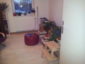 20120425_202647
