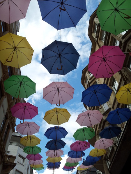 Dem Graf von Luxemburg seine Regenschirme