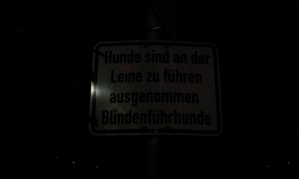 Blindenhunde