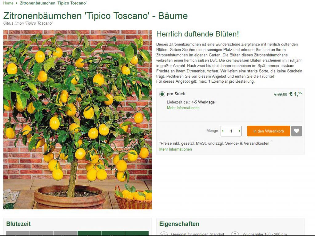 Bild Webshop bakker.com: Zitronenbäumchen Tipico Toscano